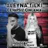 Rompasso ft.Aleyna Tilki - Cevapsız Çınlama (Murat Tokat Acapella Remix)